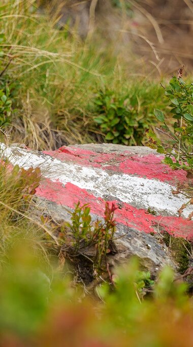 Rot-weiß-rote Wanderwegmarkierung auf einem Felsen zwischen Gräsern und niedriger Bergvegetation. | © TVB Piesendorf Niedernsill, Foto Brcina Photography 