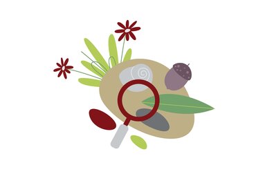 Illustration with a magnifying glass, stones and leaves for the “Find Something Smooth” game on the Spielend Wandern trail. | © Österreichs Wanderdörfer