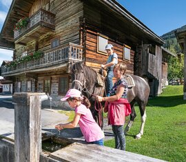 "Hoch zu Ross" - Familienwanderung mit Pferd | © TVB Piesendorf Niedernsill, Foto Harry Liebmann