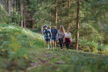 Vier Personen wandern gemeinsam auf einem schmalen Weg durch einen Wald mit Farnen und Nadelbäumen. | © Naturesa, Fotograf Christoph Oberschneider 